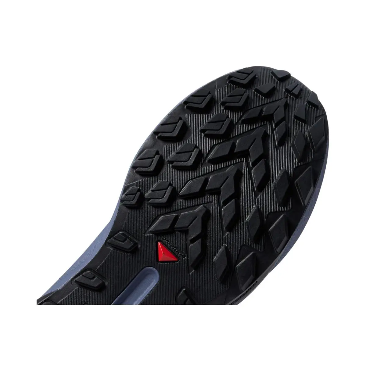 Salomon shoes - Carbon 4