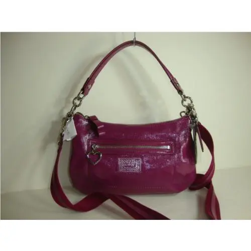 Coach Daisy Liquid Gloss Crossbody Bag F20017