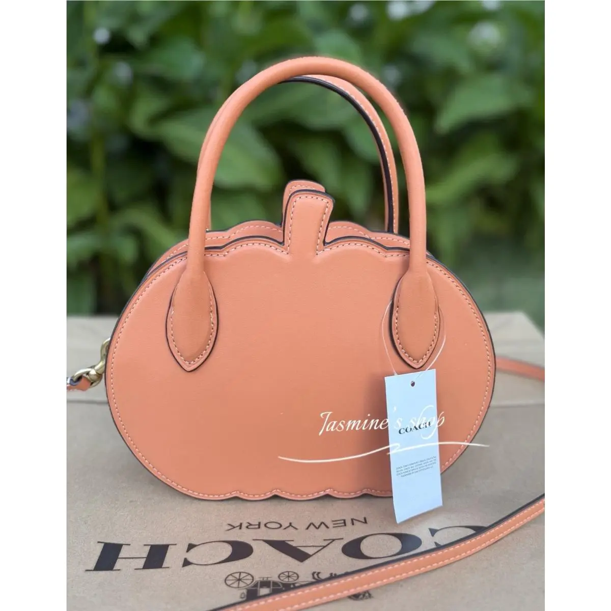 Coach Pumpkin Crossbody Bag CU868