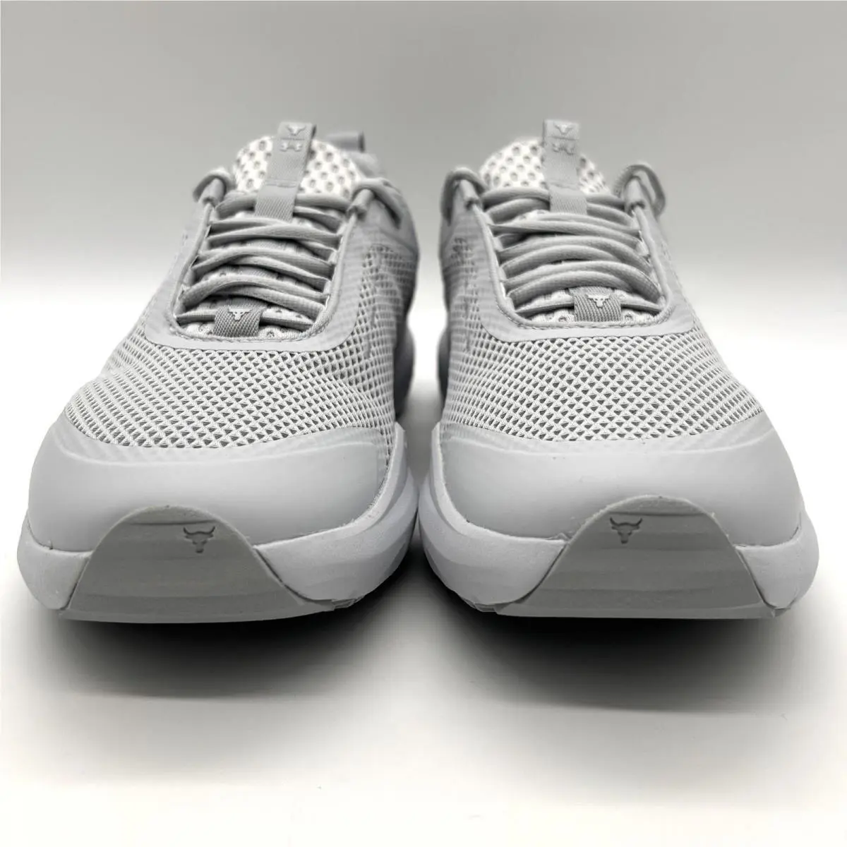 Under Armour shoes - Under Armour Project Rock BSR 5 - Gray 0