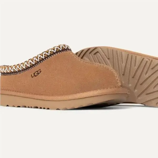 UGG shoes - CHESTNUT 2