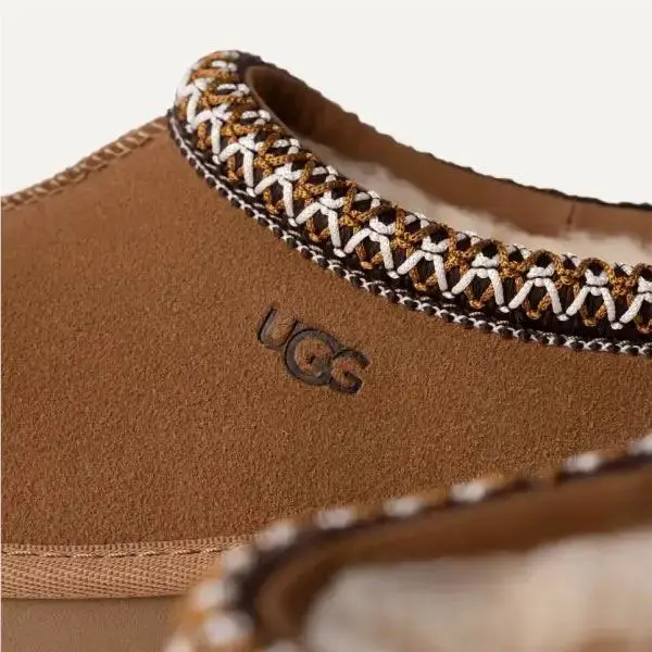 UGG shoes - CHESTNUT 3