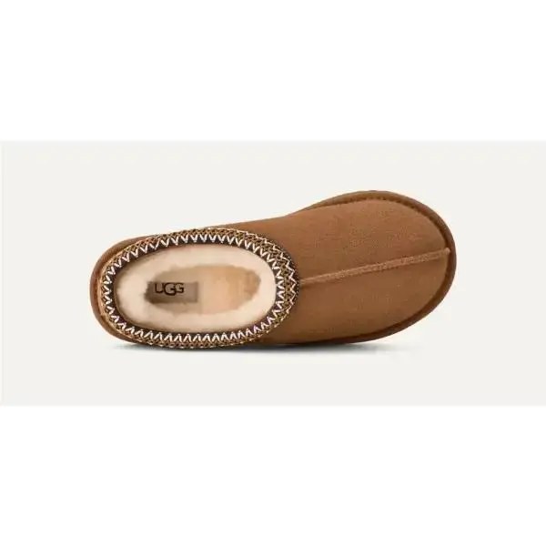UGG shoes - CHESTNUT 11