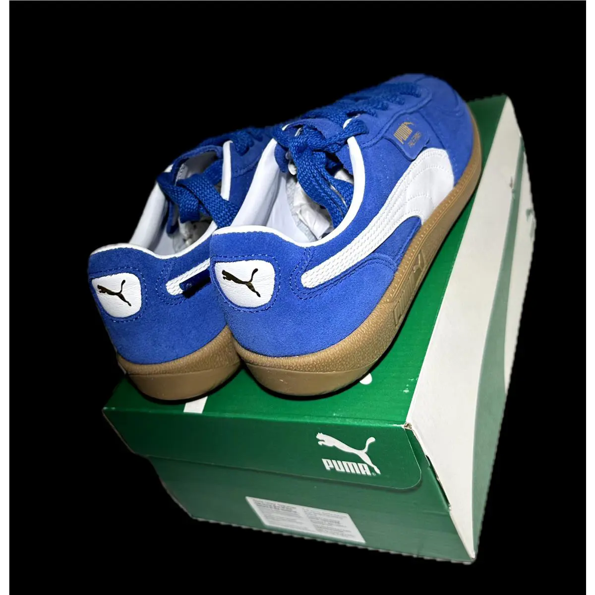 Puma shoes - PUMA Palermo - Palermo - 397643-07 - Blue 0