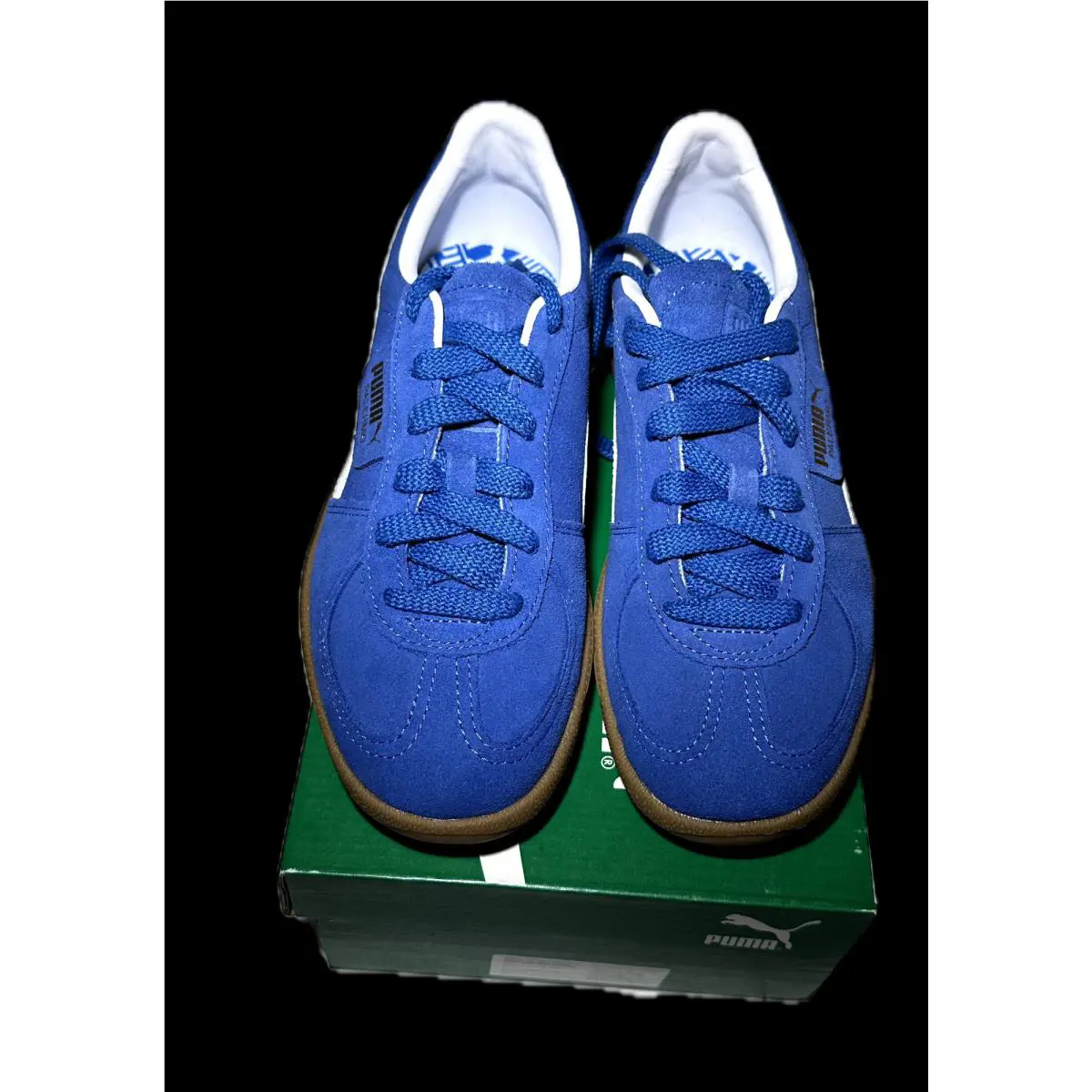 Puma shoes - PUMA Palermo - Palermo - 397643-07 - Blue 1