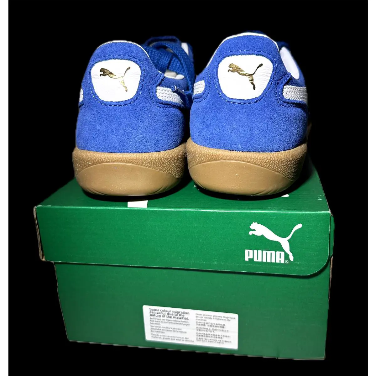Puma shoes - PUMA Palermo - Palermo - 397643-07 - Blue 2