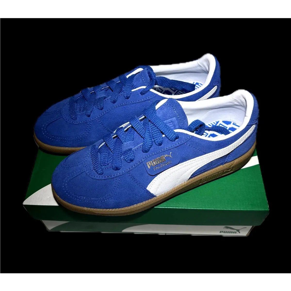 Puma shoes - PUMA Palermo - Palermo - 397643-07 - Blue 5