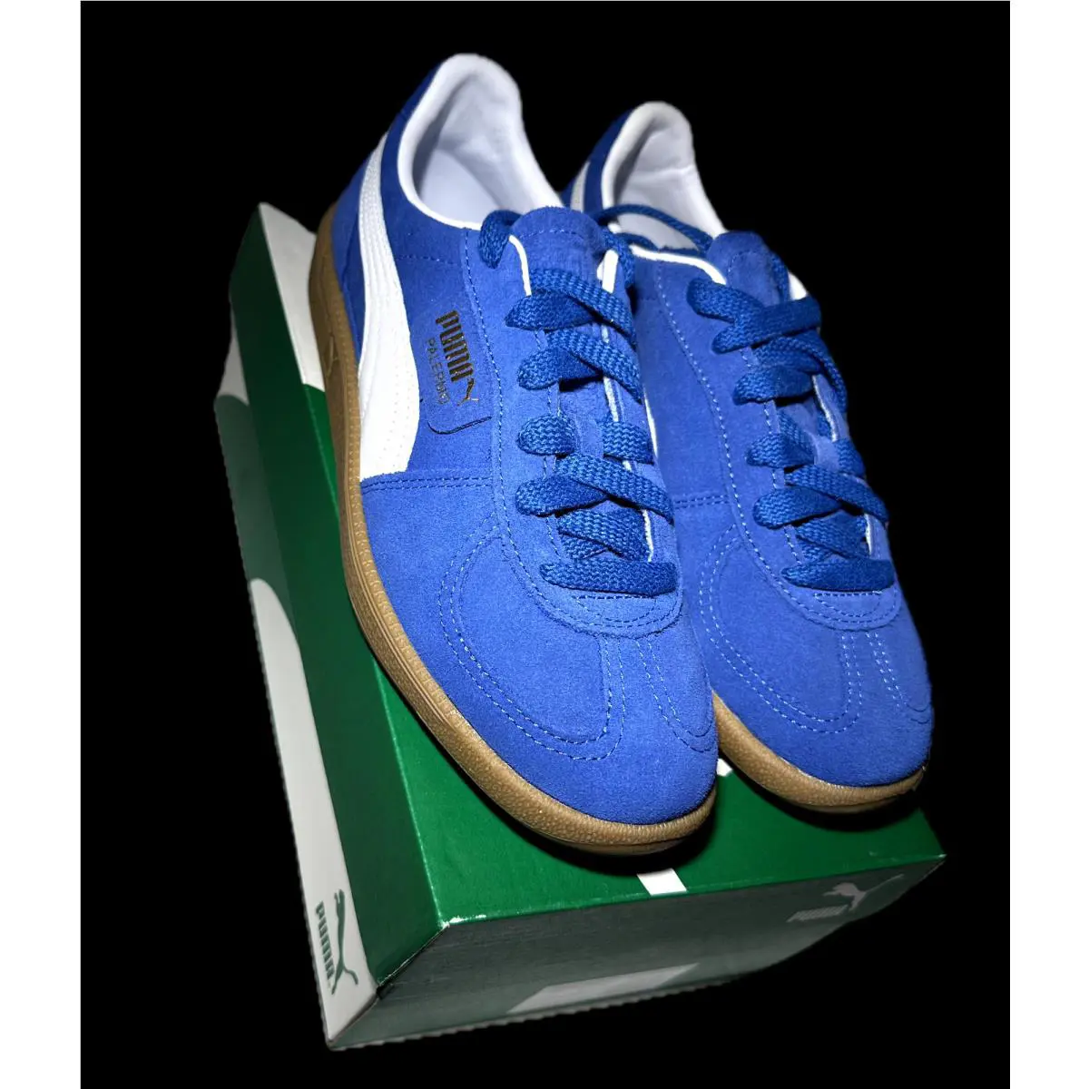 Puma shoes - PUMA Palermo - Palermo - 397643-07 - Blue 6