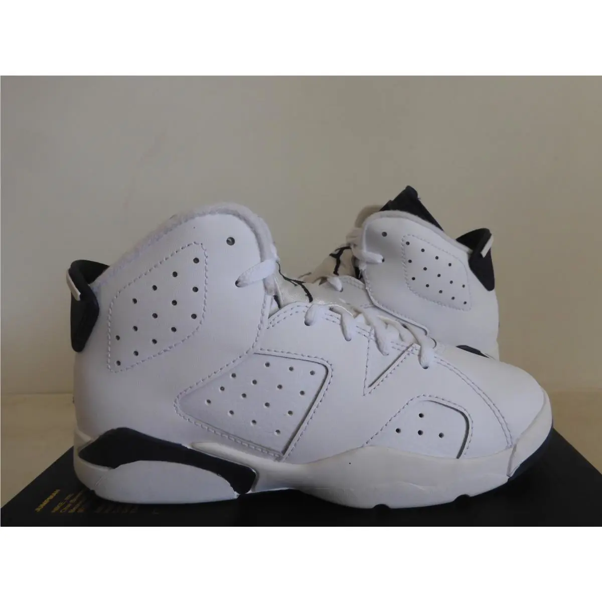 Nike shoes - Air Jordan 6 - Air - White (UPC: 195243801863) 0