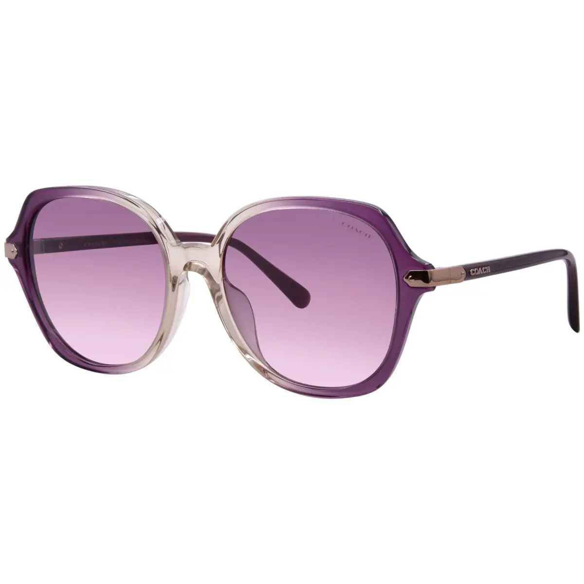 Coach CL825 HC8377U 57737W Sunglasses Women`s Multi/purple Gradient 55mm