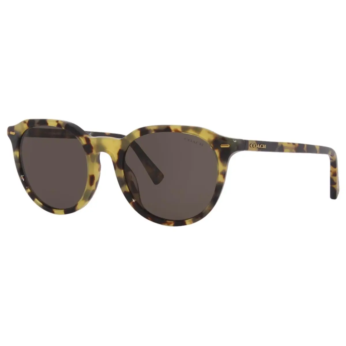 C8007 HC8339U 51713 Sunglasses Men`s Tokyo Tortoise/dark Brown 52mm by Coach