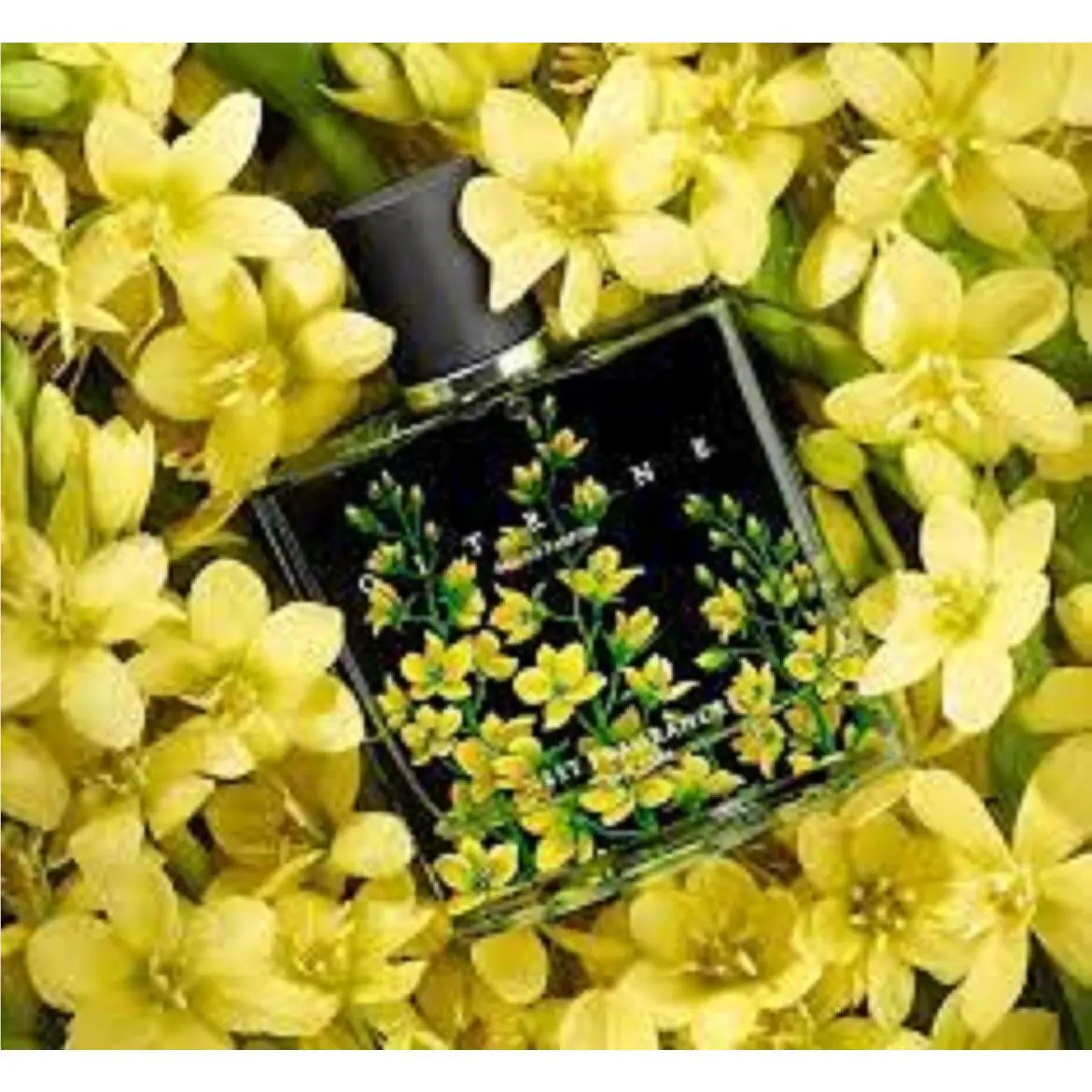 Nest York Fragrances Citrine Perfume Eau de Parfum 3.4 Fl oz / 100 Ml by NEST New York