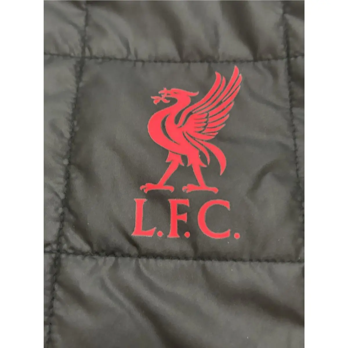 Nike clothing - Nike Liverpool FC Lined - Liverpool Lined - DN3152010 - Black 0