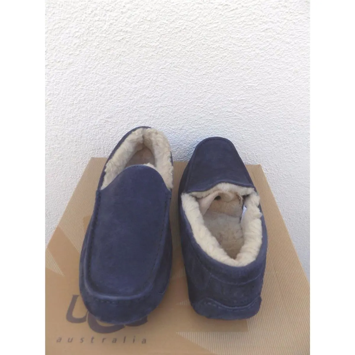 UGG shoes - UGG ASCOT - ASCOT - Blue (UPC: 888855219101) 1