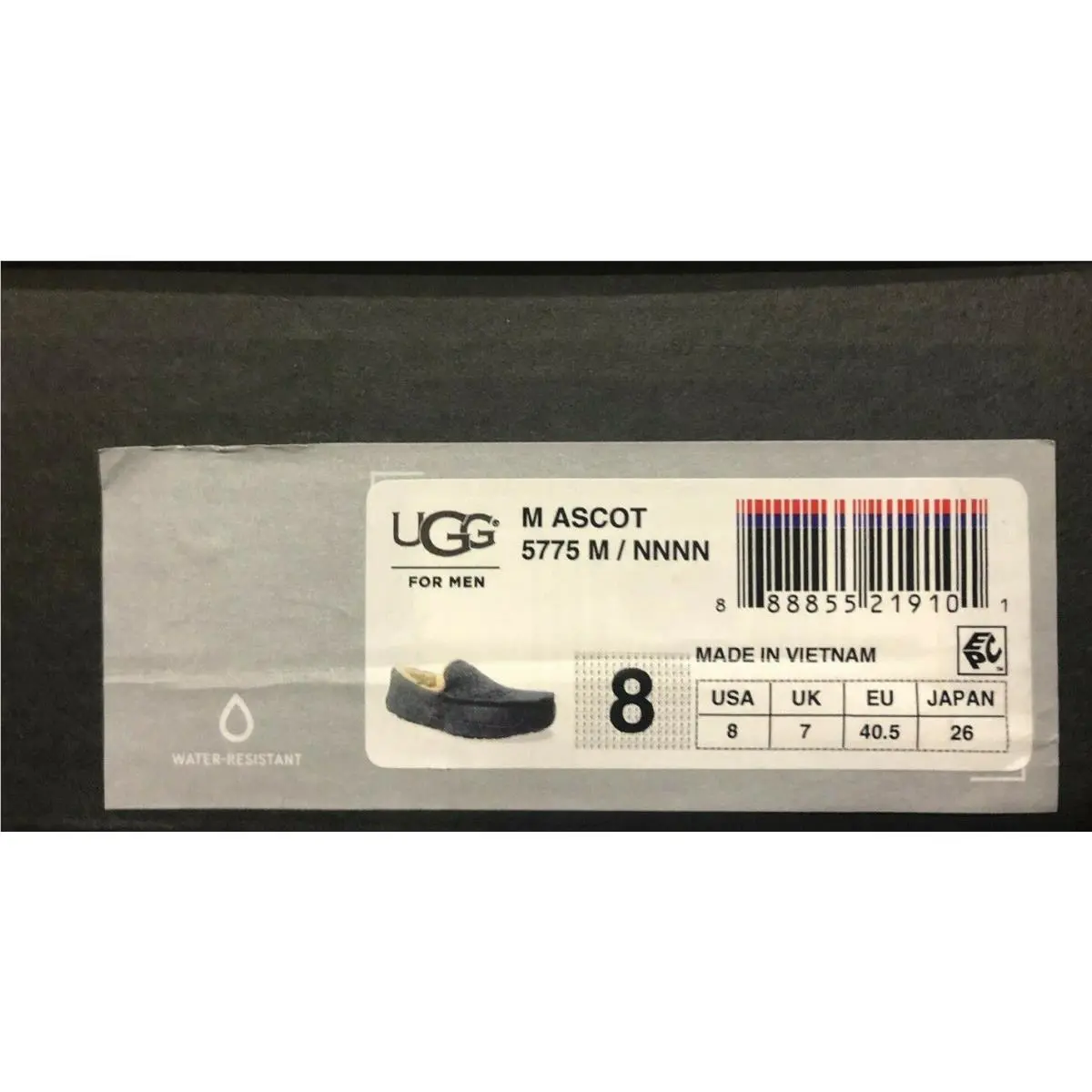 UGG shoes - UGG ASCOT - ASCOT - Blue (UPC: 888855219101) 4