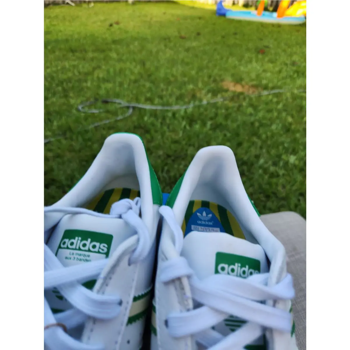 Adidas shoes - adidas Superstar - Superstar - Green 9