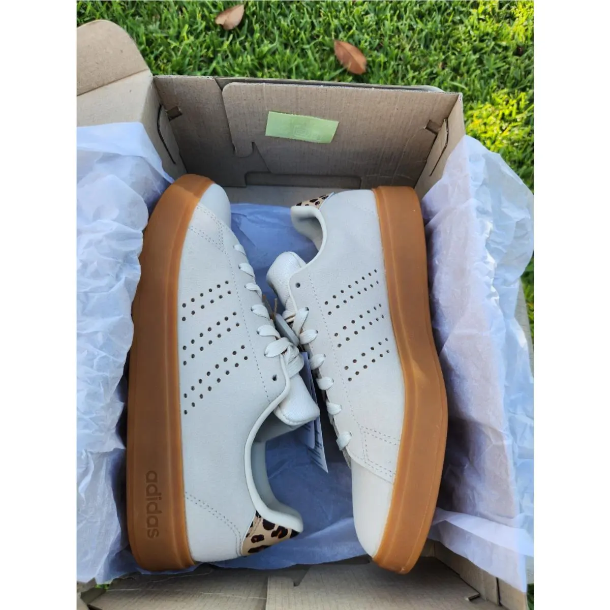 Adidas shoes - adidas Advantage - Advantage - Beige 0