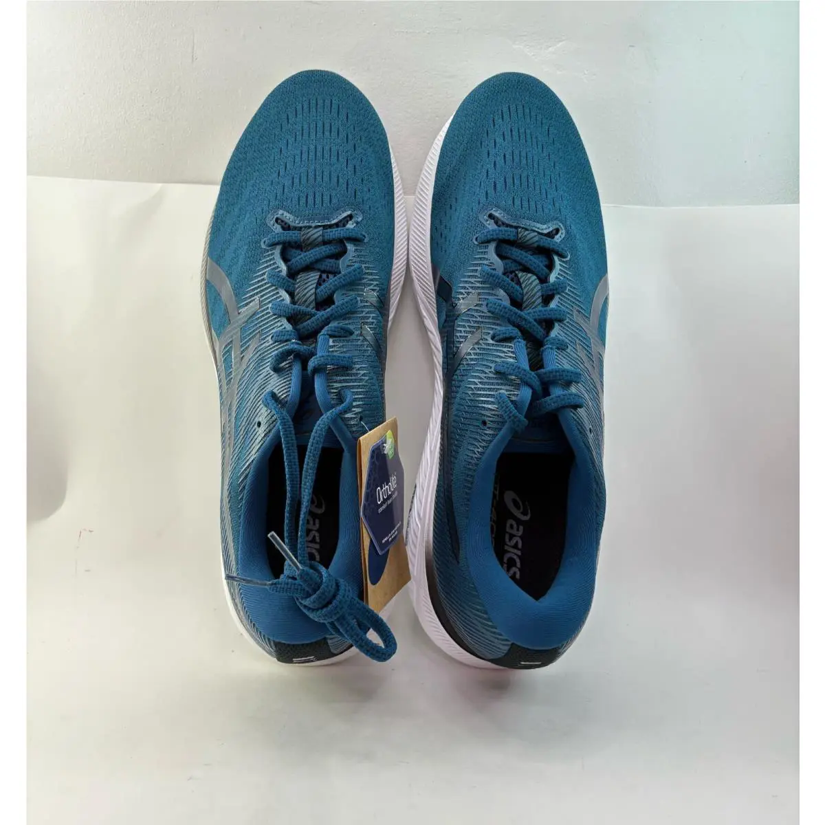 Asics shoes - ASICS Roadblast - Roadblast - Blue 1