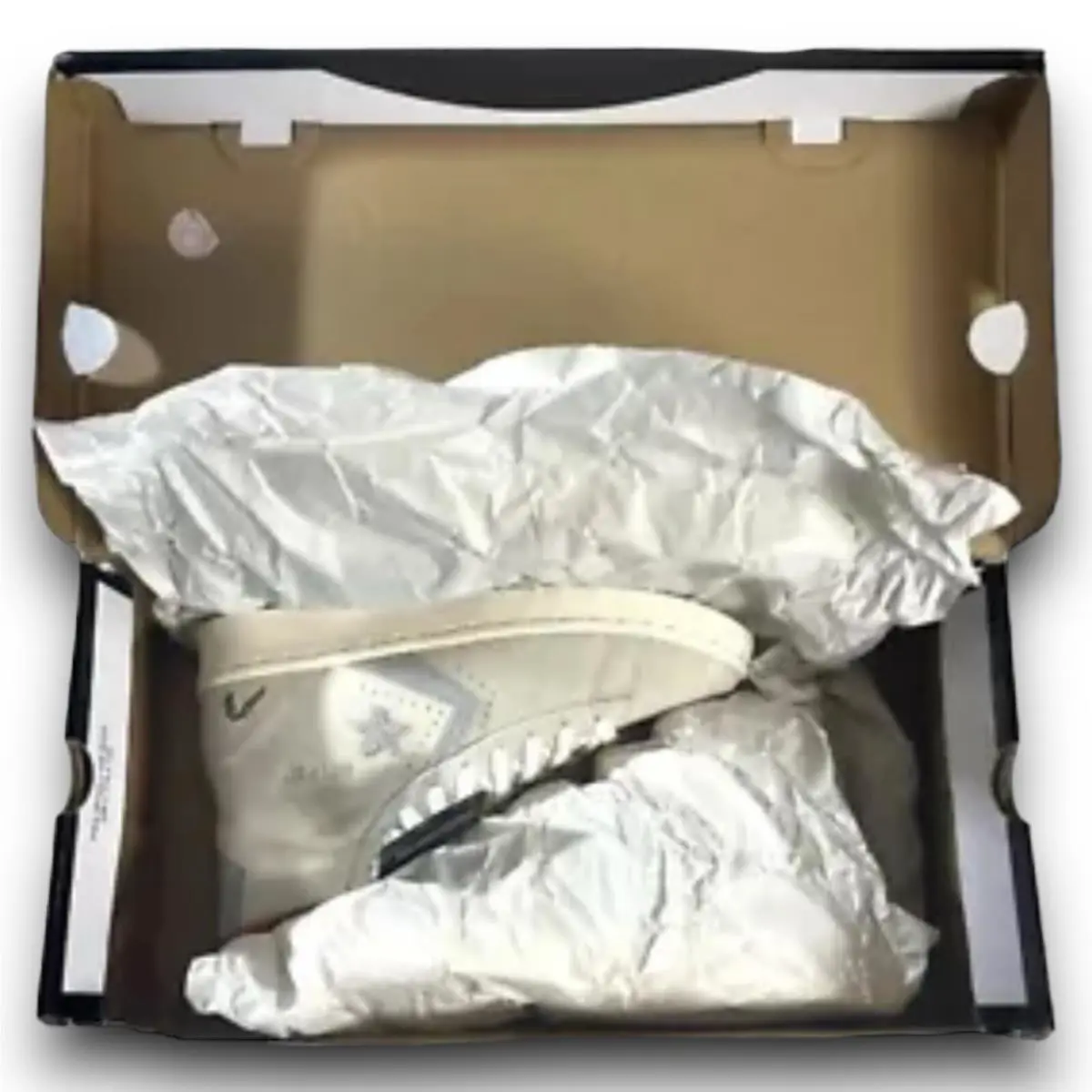Converse shoes - Converse Pro Leather - Pro Leather - 169223C - Ivory (UPC: 0194432472334) 5