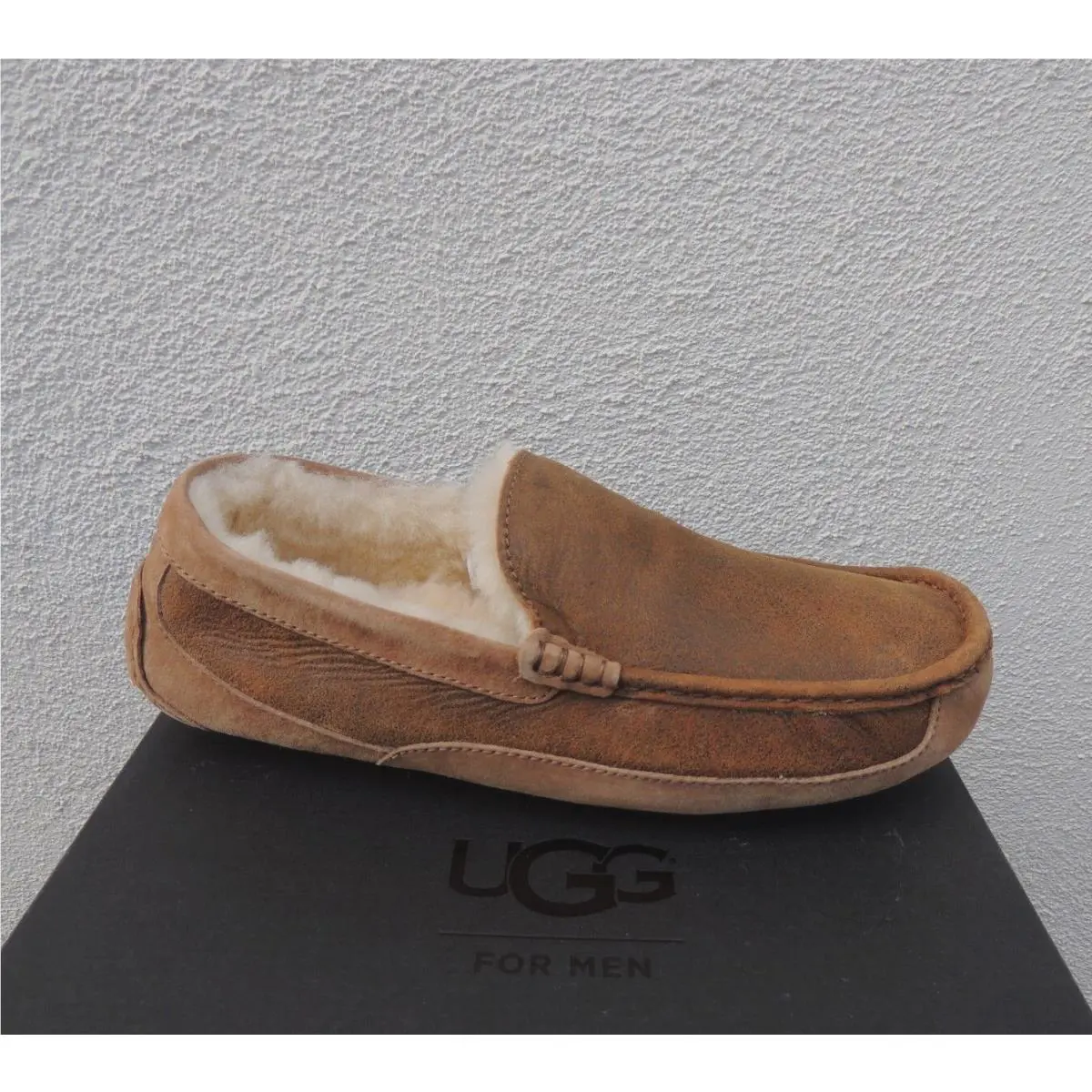 UGG shoes - UGG Ascot Bomber - Ascot Bomber - Brown (UPC: 888855189688) 0