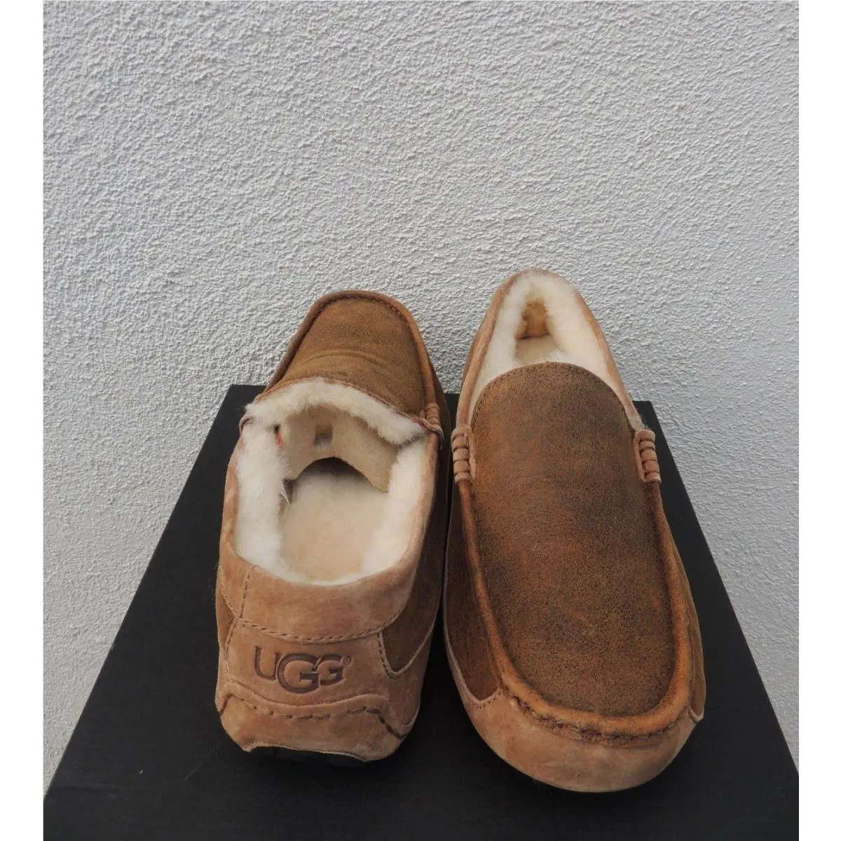 UGG shoes - UGG Ascot Bomber - Ascot Bomber - Brown (UPC: 888855189688) 1