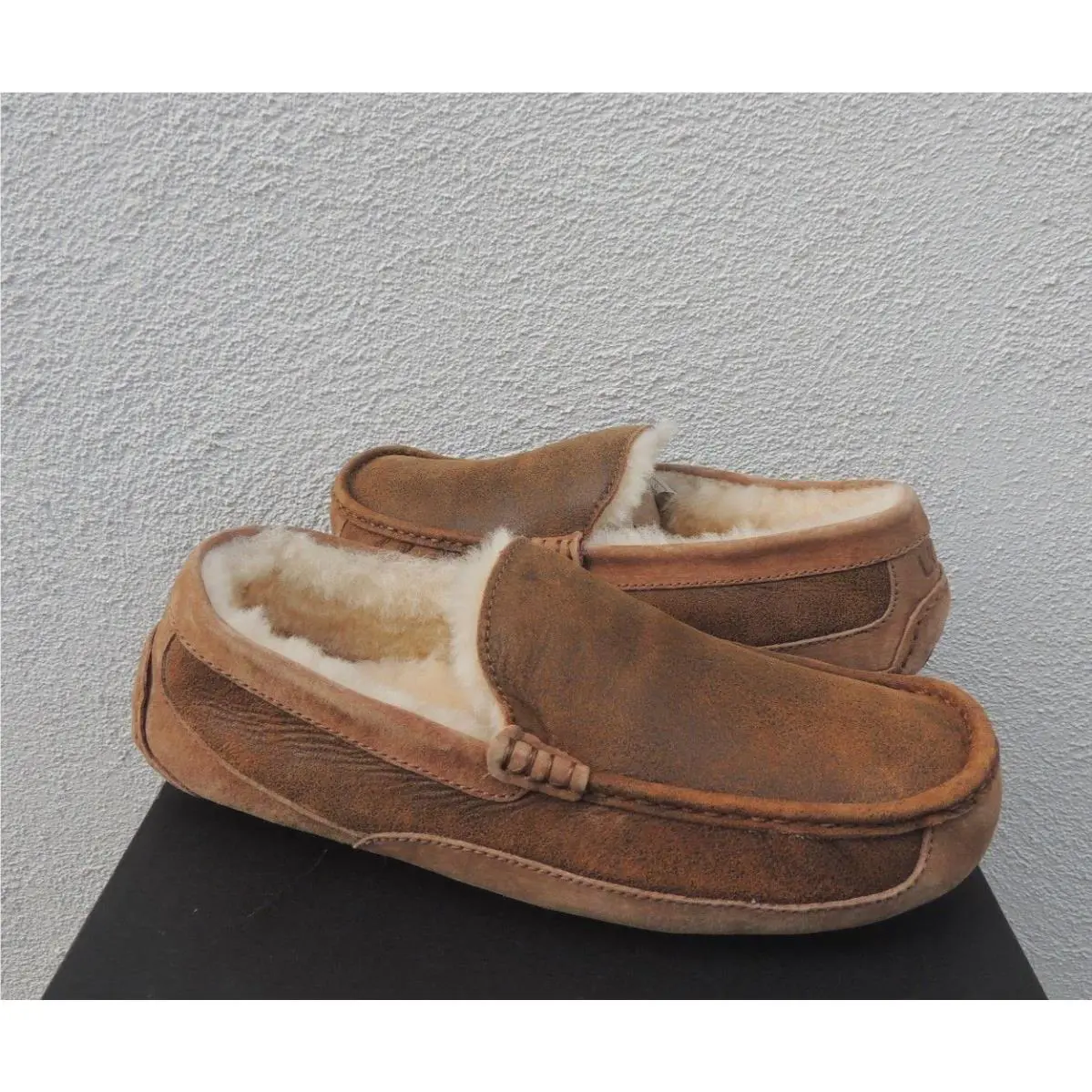 UGG shoes - UGG Ascot Bomber - Ascot Bomber - Brown (UPC: 888855189688) 2