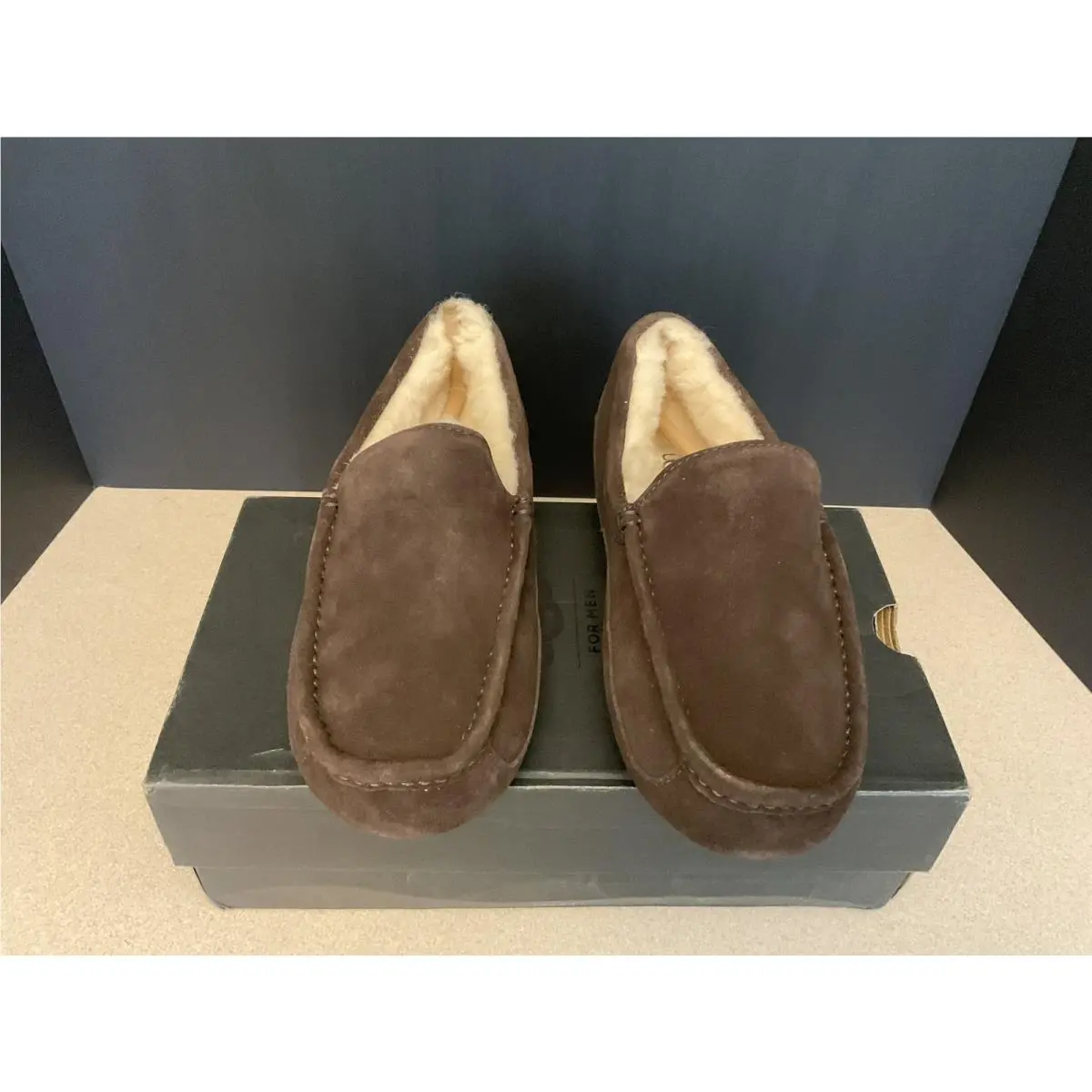 UGG shoes - UGG Ascot - Ascot - Brown 2