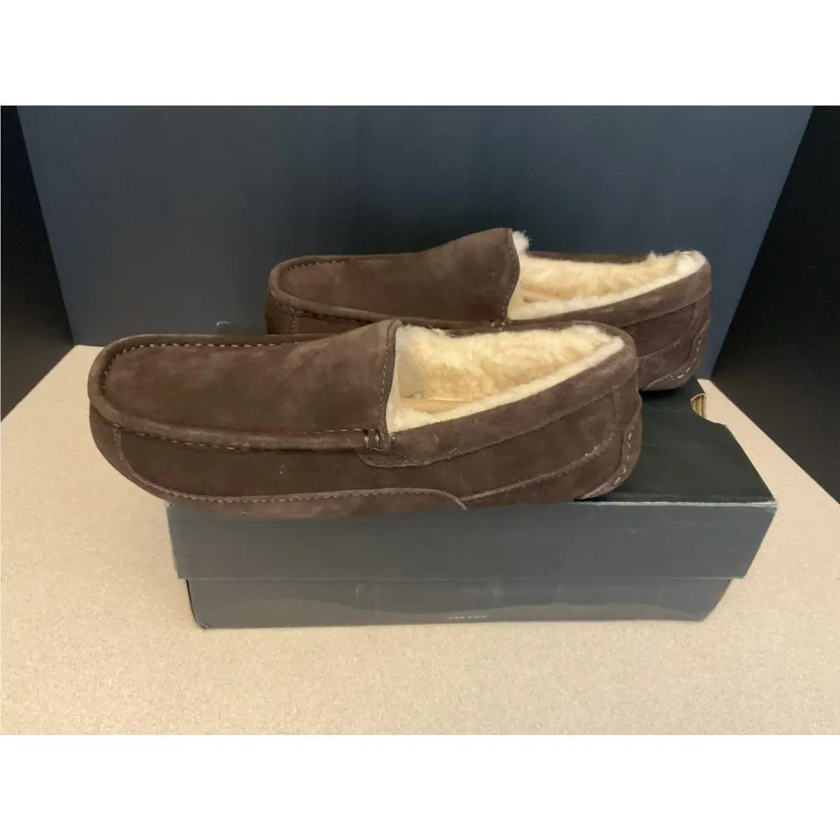 UGG shoes - UGG Ascot - Ascot - Brown 4