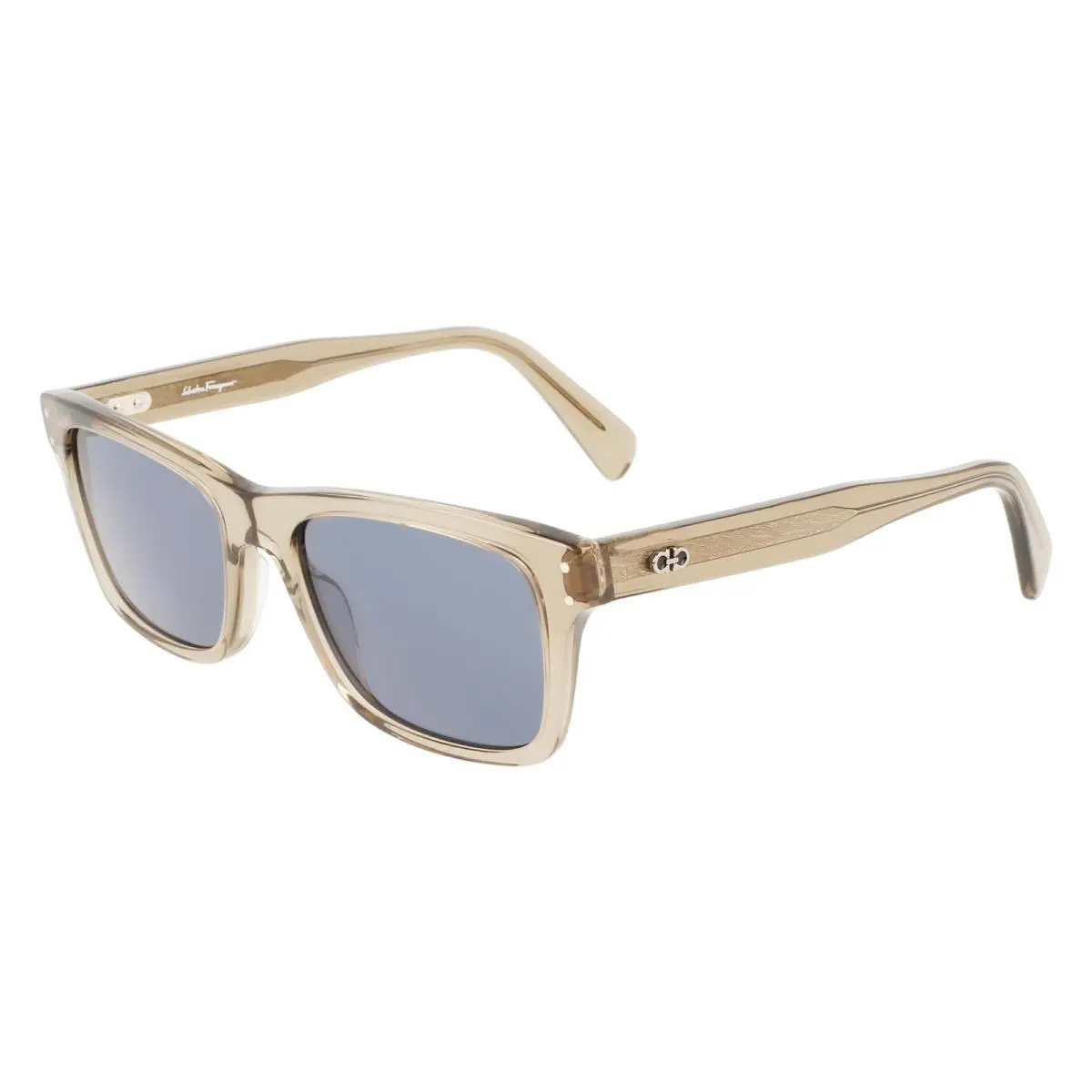 Ferragamo Sunglasses SF 1039 S 278 Transparent Sand