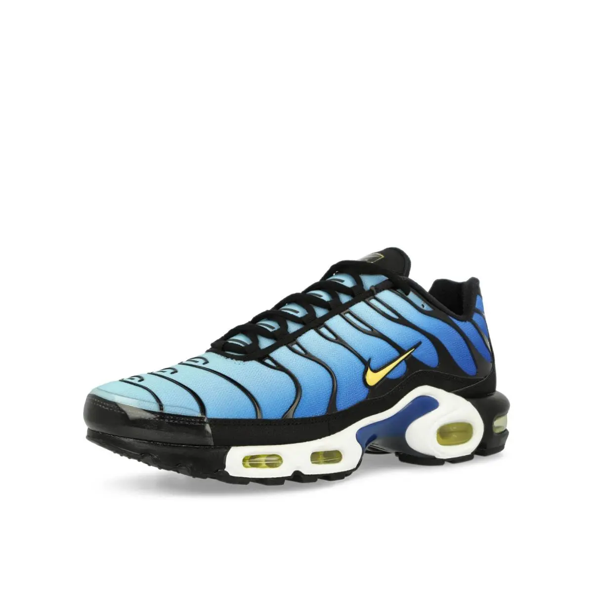 Nike shoes - Nike Air Max Plus - Air Max Plus - DX0755-001 - Black, Manufacturer: Black/Chamois/Sky Blue/Hyper Blue 1