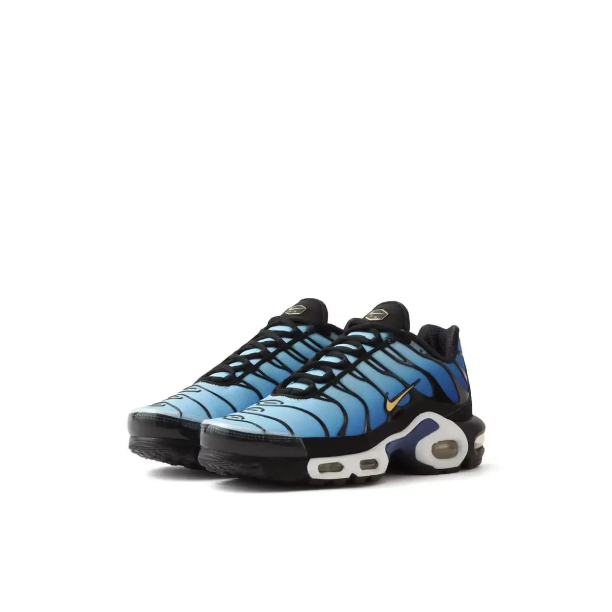 Nike shoes - Nike Air Max Plus - Air Max Plus - DX0755-001 - Black, Manufacturer: Black/Chamois/Sky Blue/Hyper Blue 15