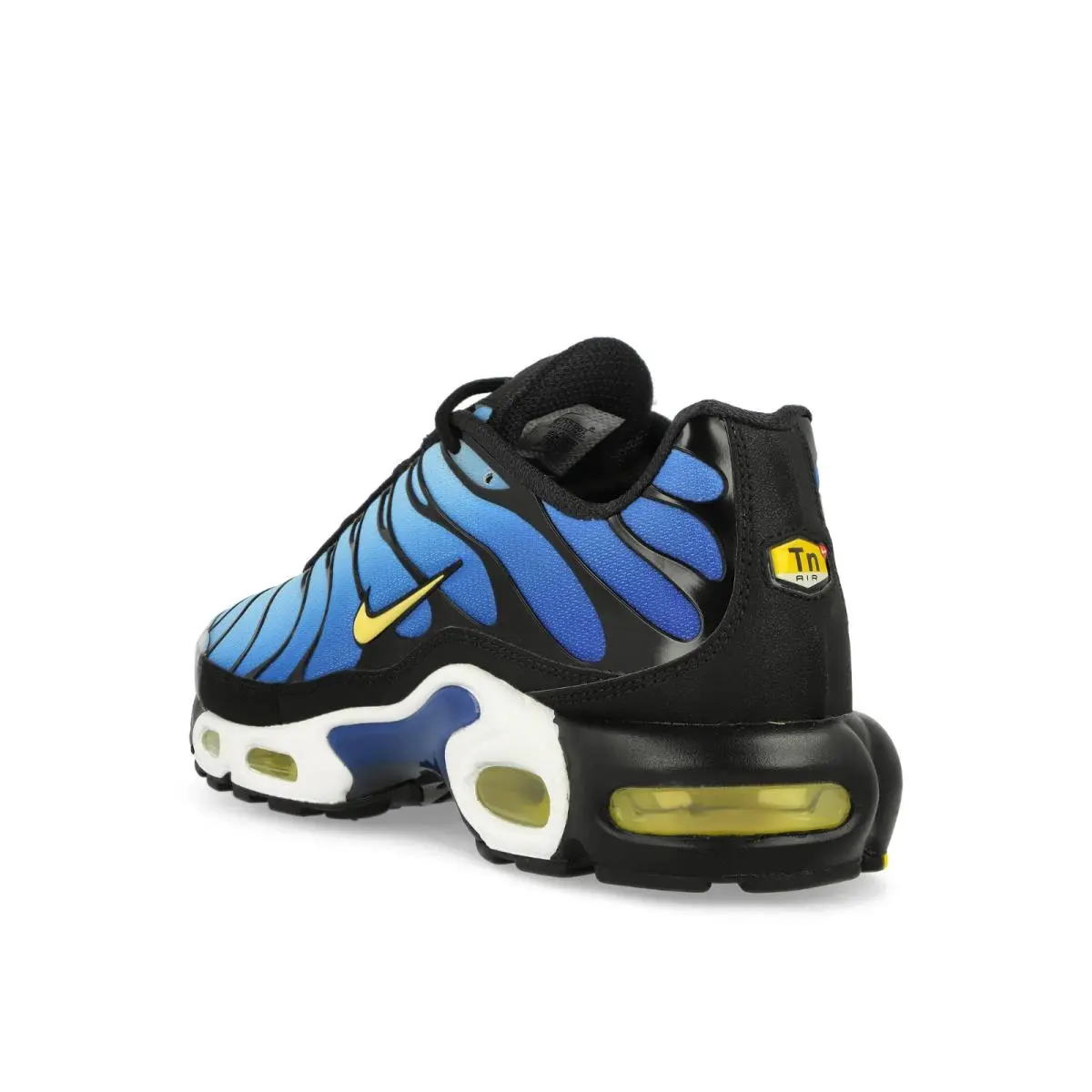 Nike shoes - Nike Air Max Plus - Air Max Plus - DX0755-001 - Black, Manufacturer: Black/Chamois/Sky Blue/Hyper Blue 16
