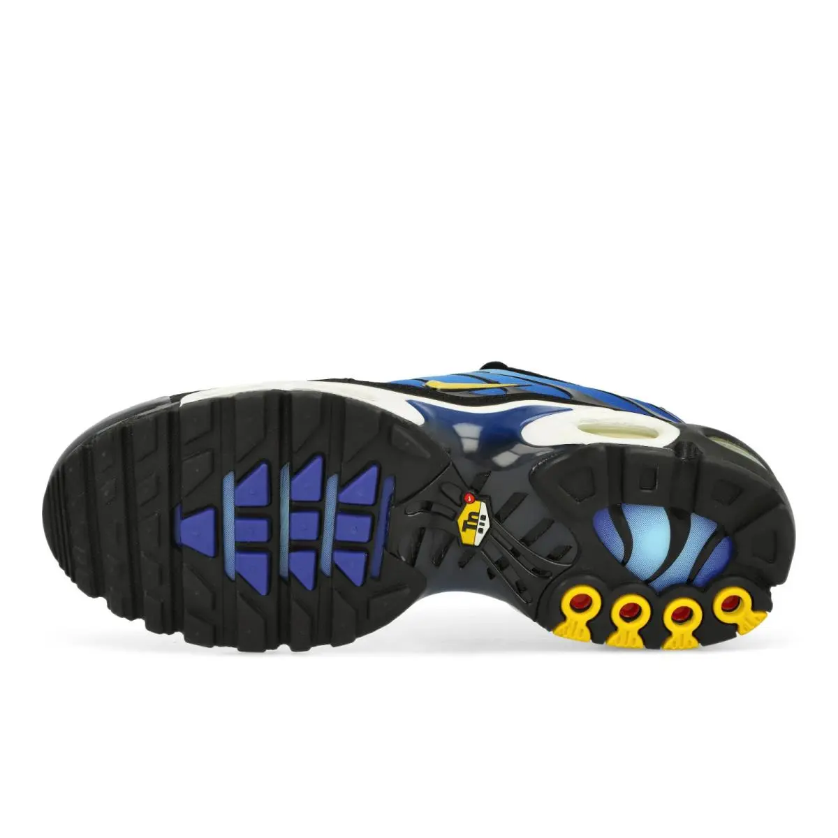 Nike shoes - Nike Air Max Plus - Air Max Plus - DX0755-001 - Black, Manufacturer: Black/Chamois/Sky Blue/Hyper Blue 17