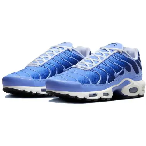 Nike Air Max Plus Royal Pulse Sneakers Tn Retro Running Trainers Shoes Men Size - Blue, Manufacturer: Royal Pulse/Deep Royal Blue