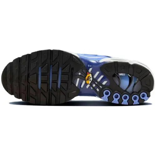 Nike shoes - Nike Air Max Plus TN - DM0032-403 - Blue, Manufacturer: Royal Pulse/Deep Royal Blue 4