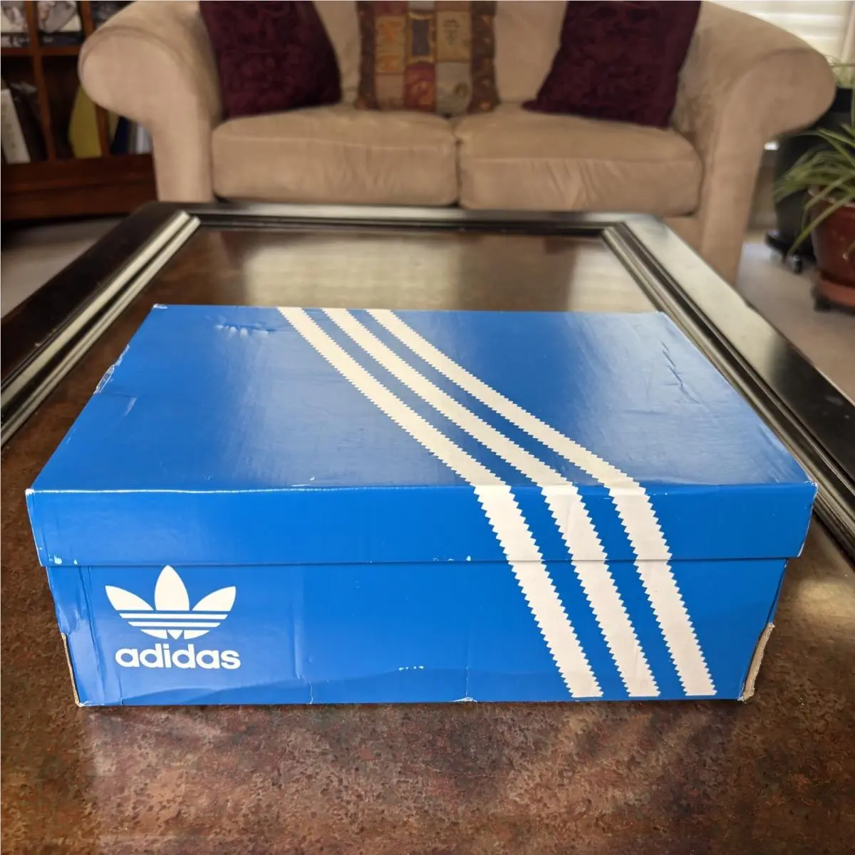 Adidas shoes - adidas Sambae - Sambae - JR1437 - Ivory (UPC: 197621776299) 8