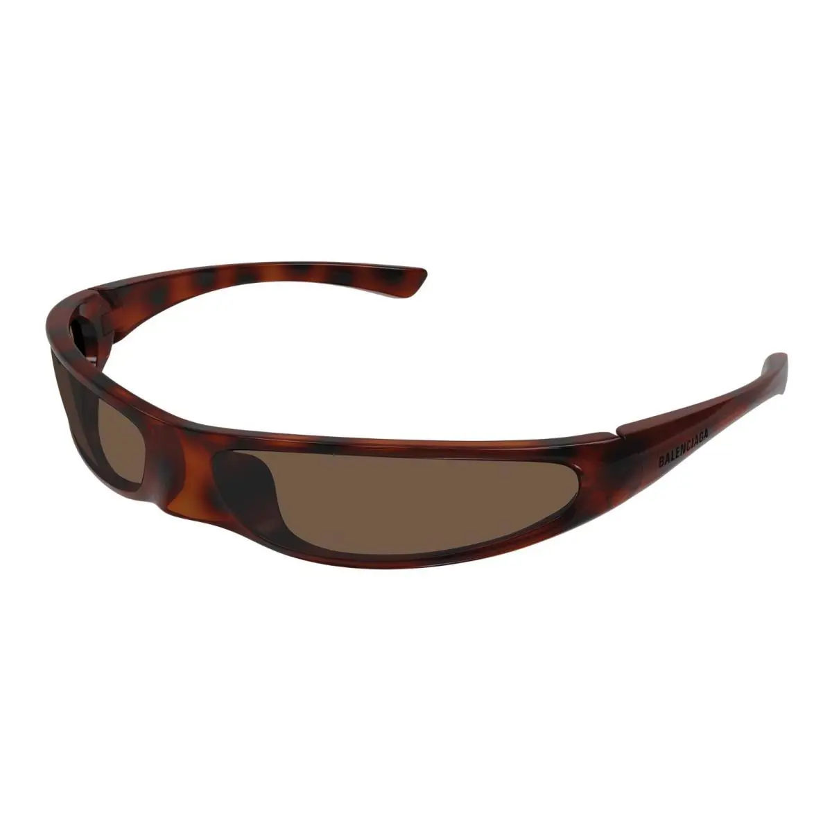 BB0383S Havana/brown 003 Sunglasses by Balenciaga