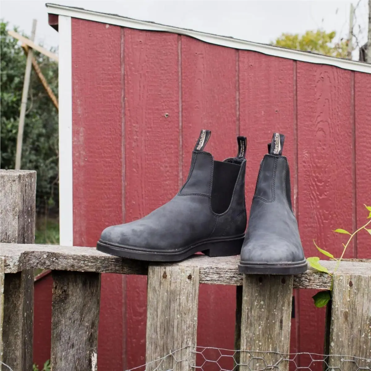 Blundstone shoes - 1308_Rustic Black - Black - 1308_Rustic Black - Black 5