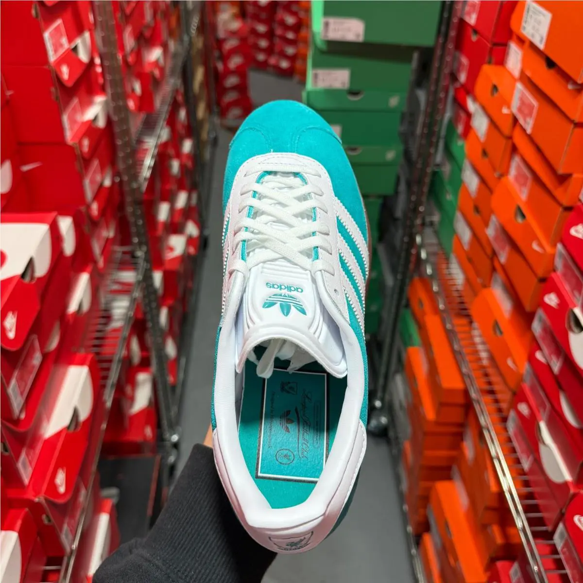 Adidas shoes - adidas Gazelle - Gazelle - JR4159 - Blue 8