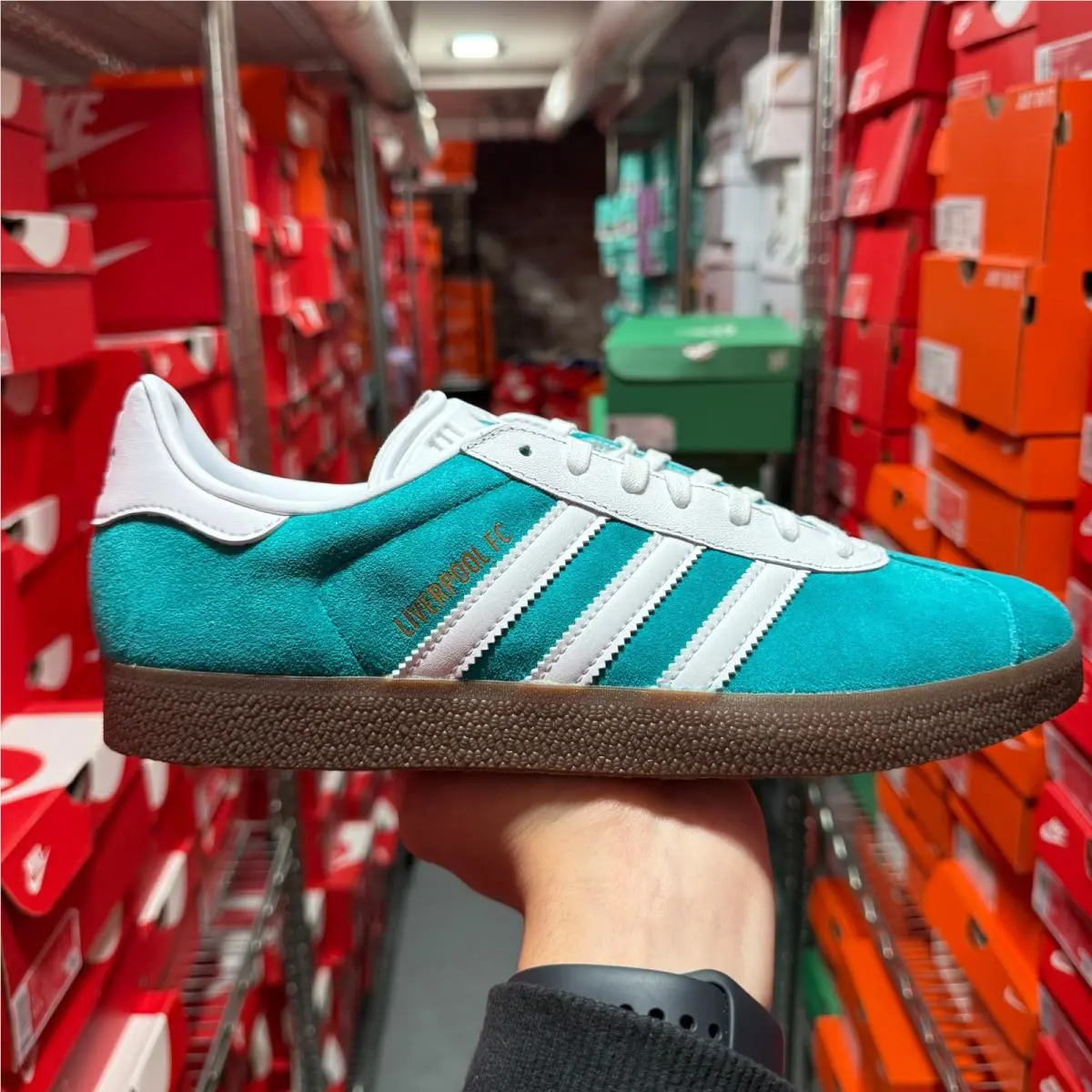Adidas shoes - adidas Gazelle - Gazelle - JR4159 - Blue 5