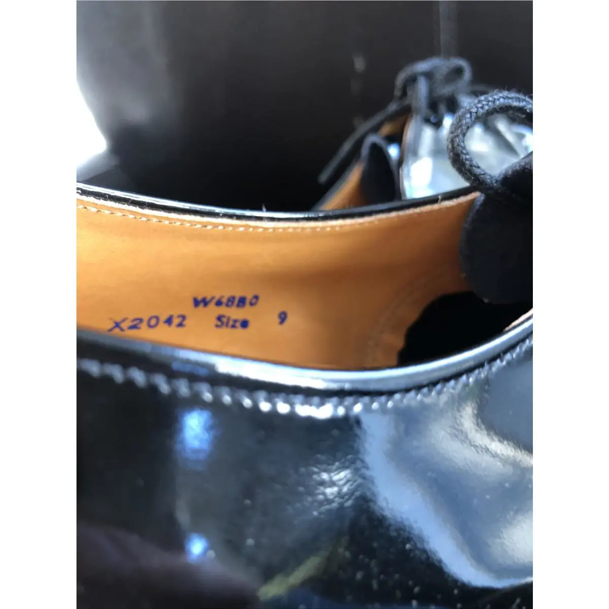 Dr. Martens shoes - W6880 - W6880 - Black (UPC: 0410170289004) 7