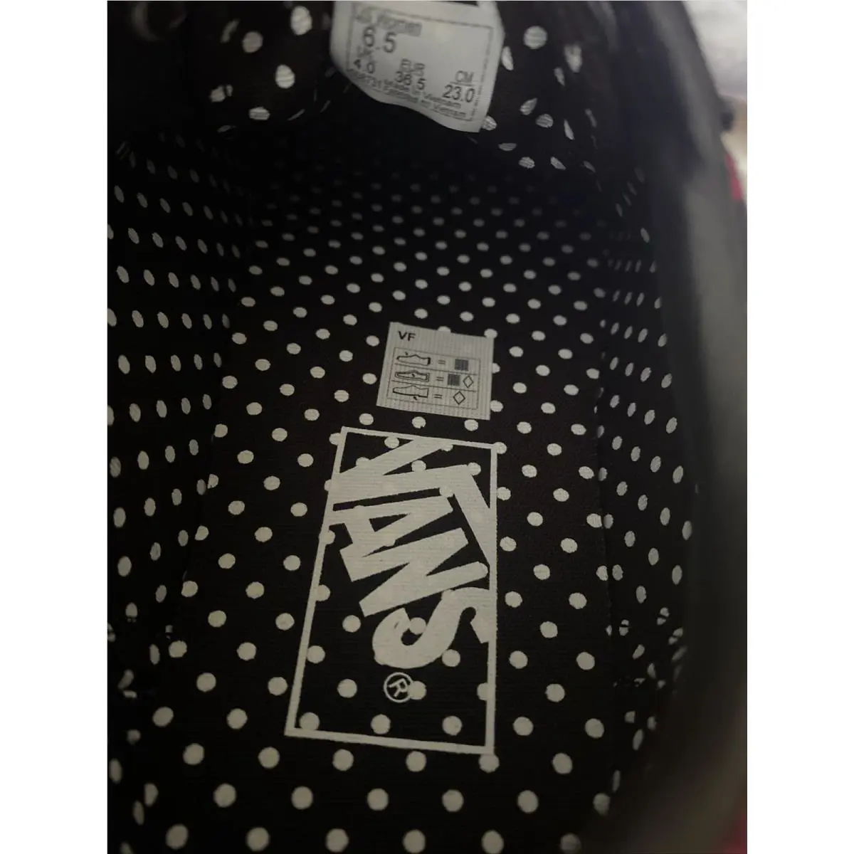 Vans shoes - VANS Ward - Ward - Ward - Multicolor 4