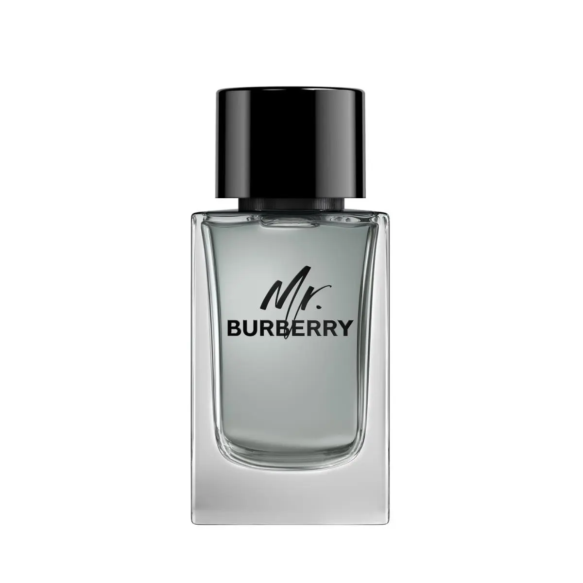 Burberry Mr. Burberry Eau de Toilette 5.0oz