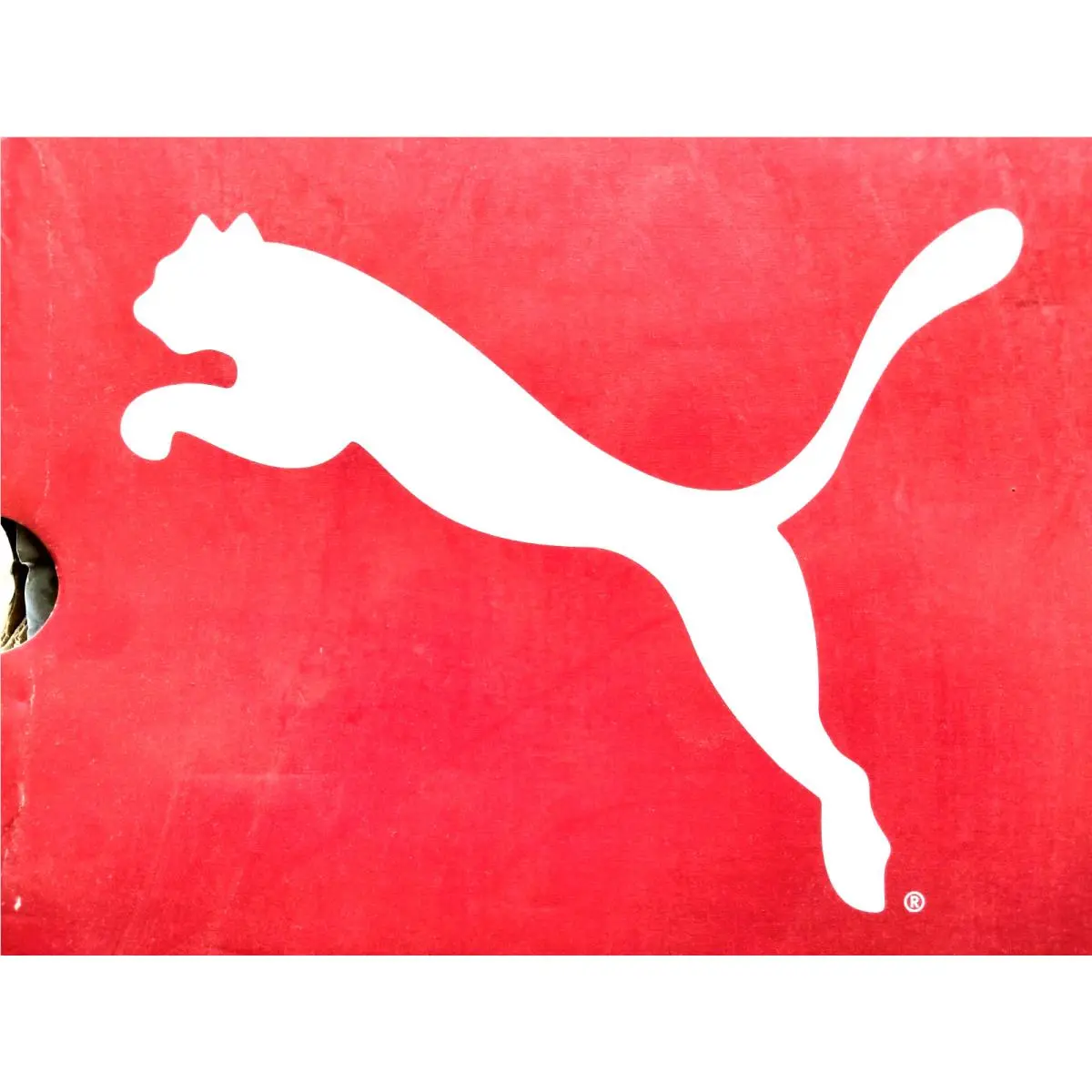 Puma shoes (UPC: 726084711594) 5