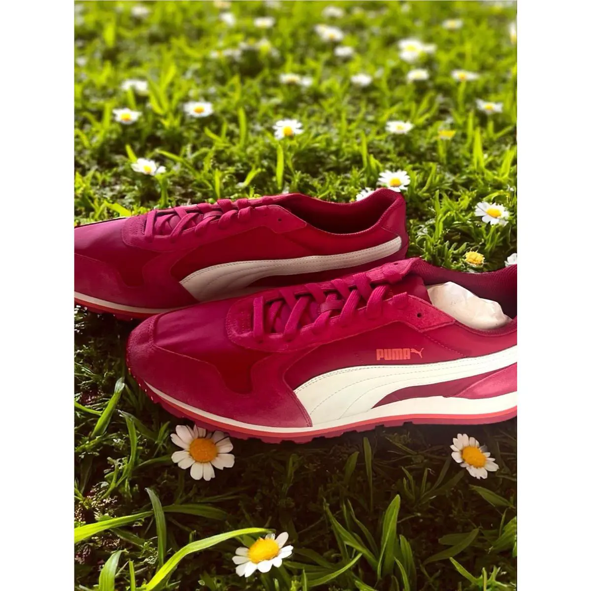 Puma shoes - PUMA Suede Classic - Suede Classic - ST Runner - Red 0