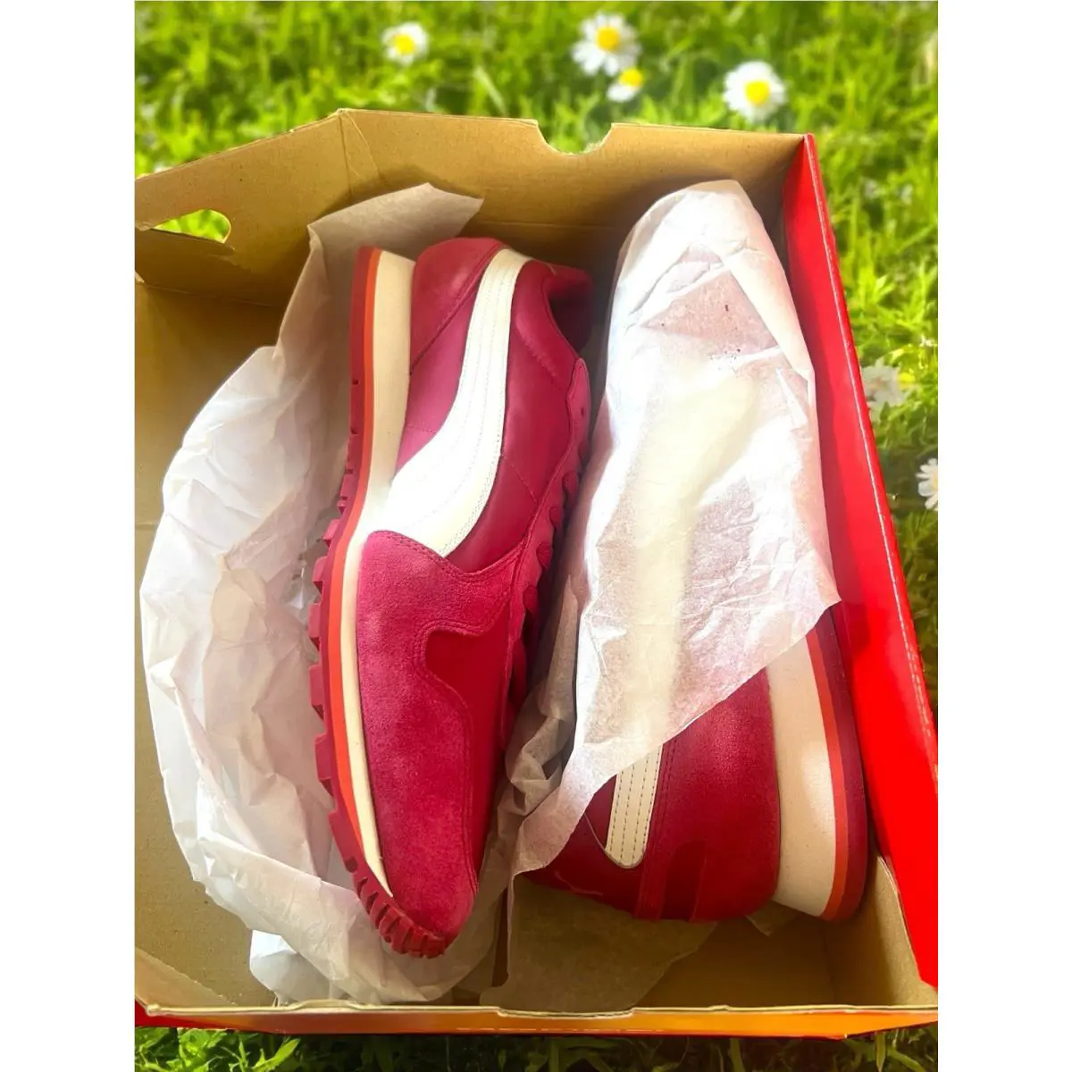 Puma shoes - PUMA Suede Classic - Suede Classic - ST Runner - Red 7