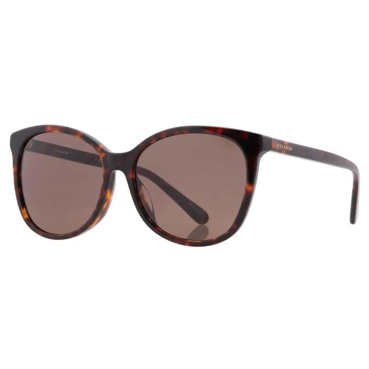 Coach Dark Brown Square Ladies Sunglasses HC8271U 512073 57 HC8271U 512073 57