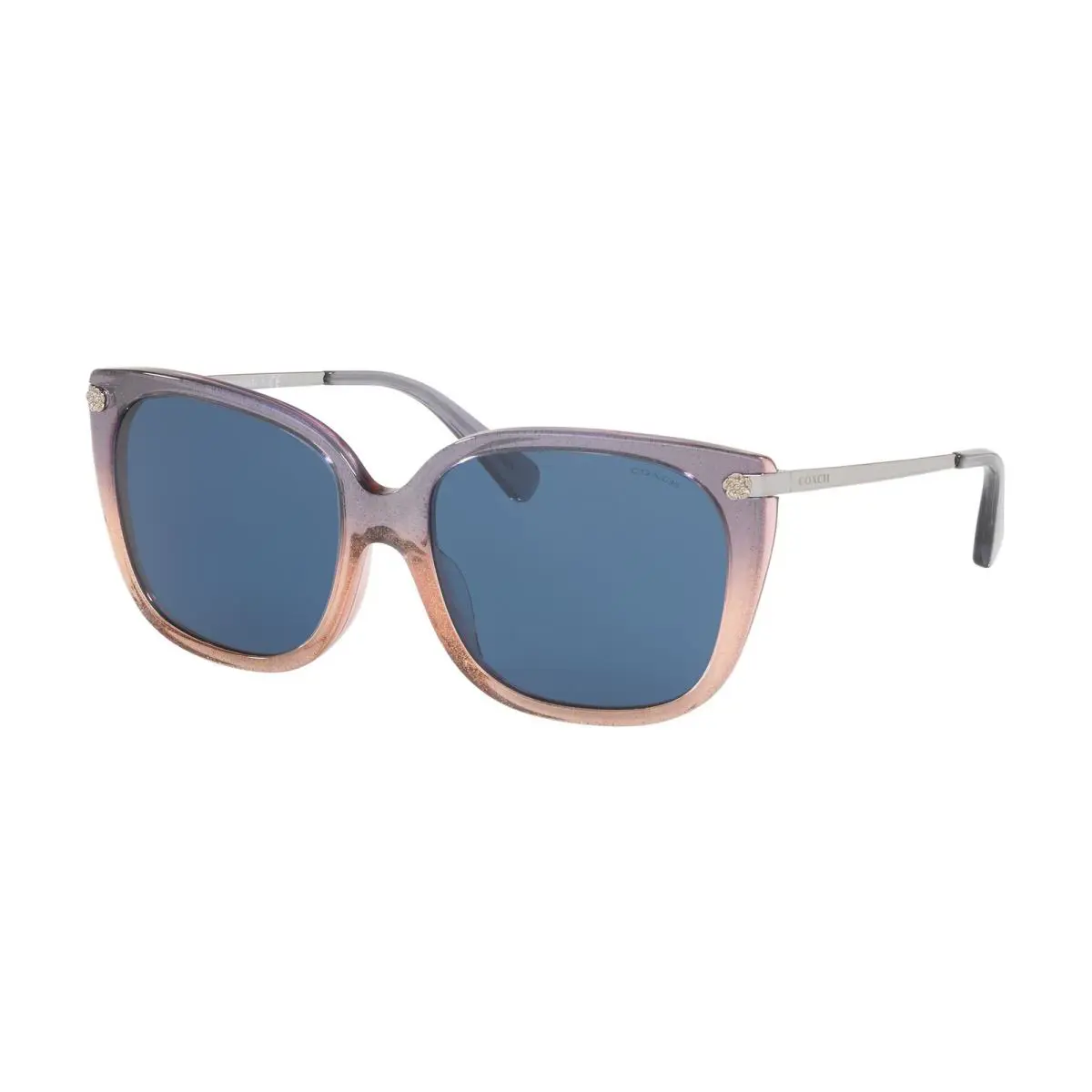 Coach Women Sunglasses Hc8272F-55547N 56 Violet Glitter Gradient