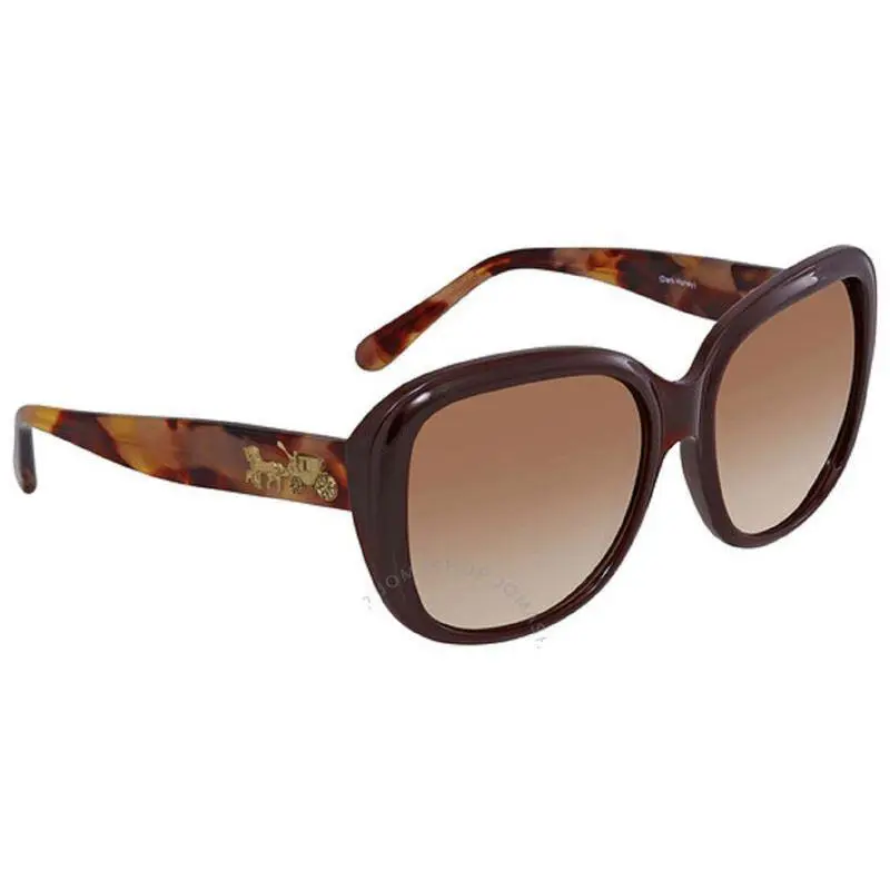 Coach Women Sunglasses Hc8207-553113 Dark Tortoise