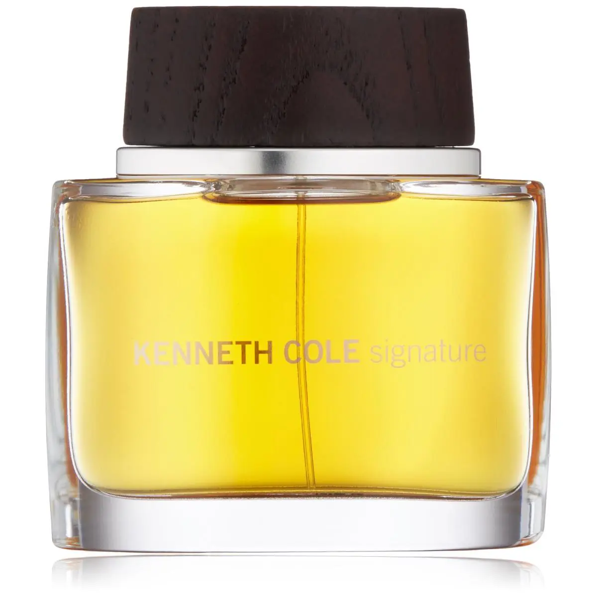 Kenneth Cole Signature Eau de Toilette 3.4 Fl Oz 100ml